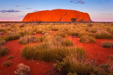 Image result for uluru